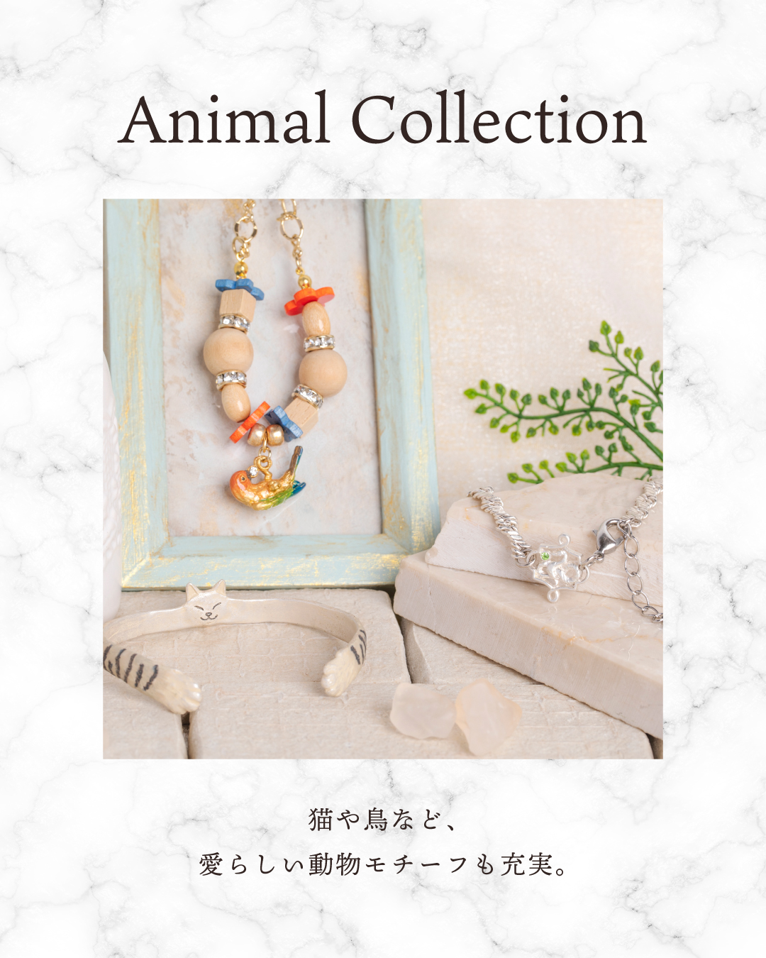 動物