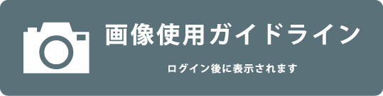 写真一覧はこちら